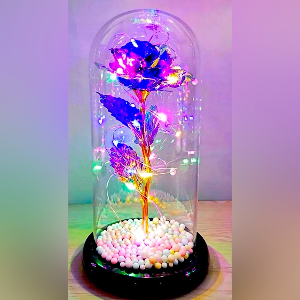 Colorful Rose Flower in Globe Dome with Light Romantic NIB